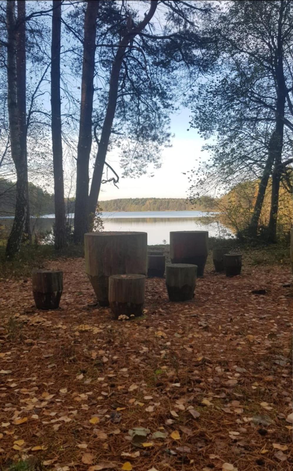 Wczasy Na Kaszubach U Hani Wiele Exterior foto
